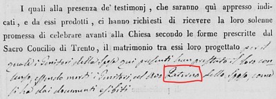 Michelangelo and Maria Ficorilli snip1.jpg