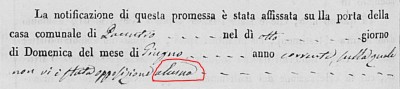 Michelangelo and Maria Ficorilli snip2.JPG