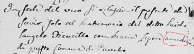 Michelangelo and Maria Ficorilli processetti (2) snip2.JPG