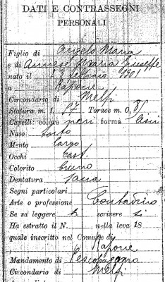 donato copy 2.jpg