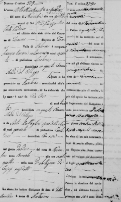 Antonio(Rosa Corso's Son).png