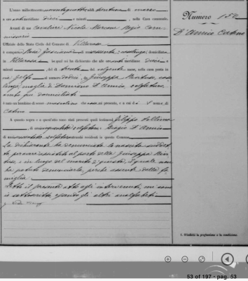 D'Amico,Catena-Birth Record For Catena D'Amico.png