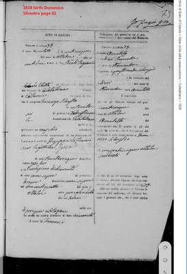 1828 birth Domenico Silvestro page 01.jpg