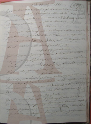 Grazia Puma Possible Birth record.png