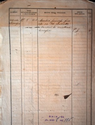 1 (5) copy.JPG