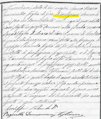 Ciniglio A birth.jpg