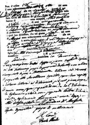 00567227 Mascheri  4 (1).jpg