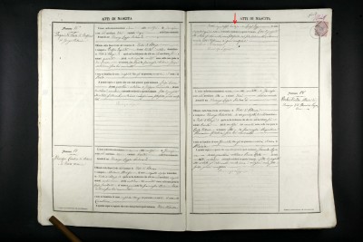 Carolino Marasco birth record - profession of witness.jpg