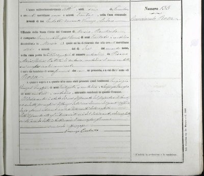 Rosa Cianciarulo's birth record