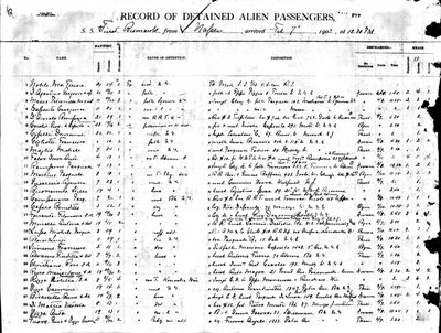 Detainee Manifest for the Furst Bismark arriving at Ellis Island, NY from Naples in Feb 1902.