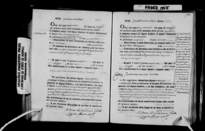 great great grandfather battaglia.jpg