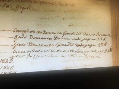 Dominica Cavallo.jpg