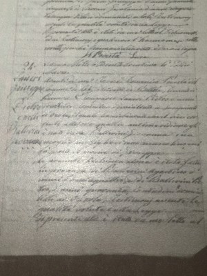 Guisseppi Laneri Individual Record