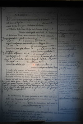 Famiglietti Pascucci MARRIAGE.jpg