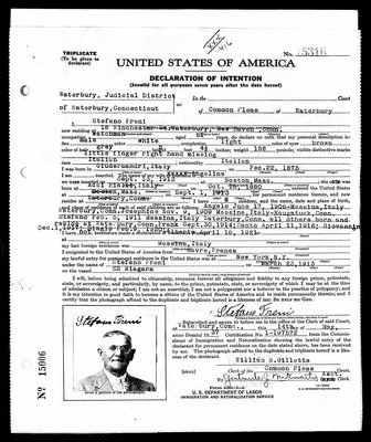 Stefano Freni Naturalization Papers.jpg