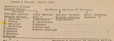 Termini Paper 1.PNG