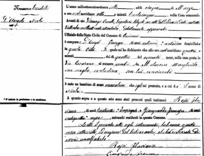 NickAngeloBirth1877.jpg