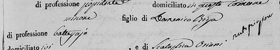 processitti Giusepper Riga di Domenico + Scolastica Oriani and Francesca Margiotta July 1826 Sant'Elia  3rd page (2).jpg