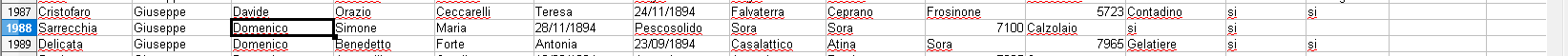 domenicoandmariasimone.png