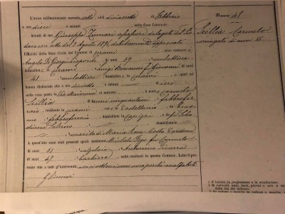 scillia certificate (TBD).jpg