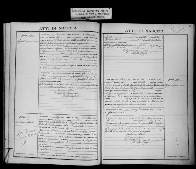 1904_Pezzente_Domenicantonio_BirthAct.jpg
